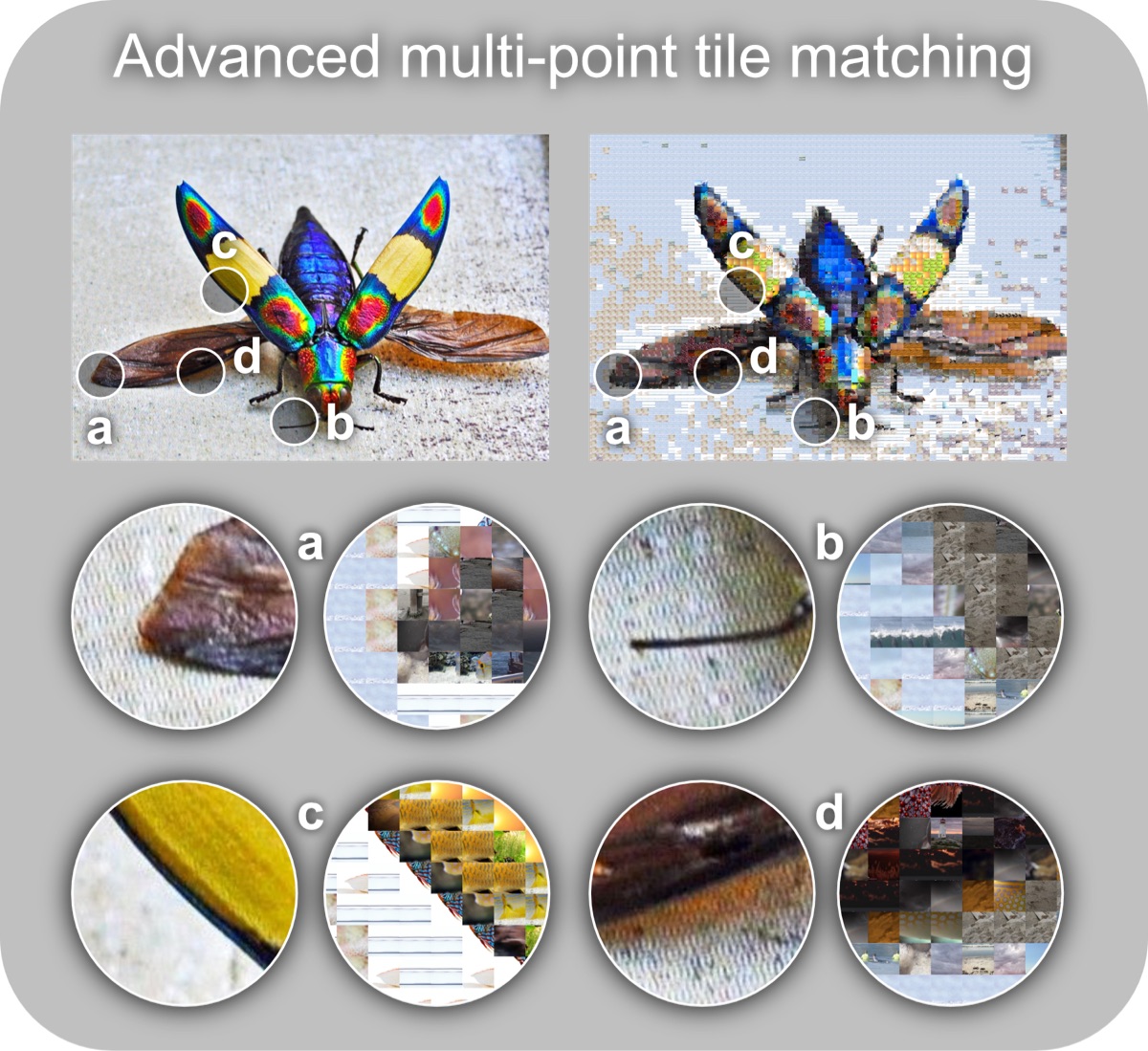 Photo mosaic - Screenshot 3