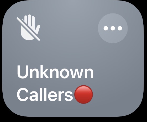 Unknown Callers🟢/🔴 - Screenshot 2