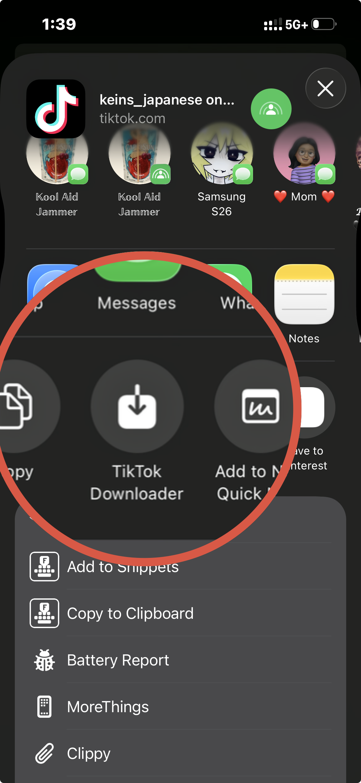 TikTok Downloader - Screenshot 1