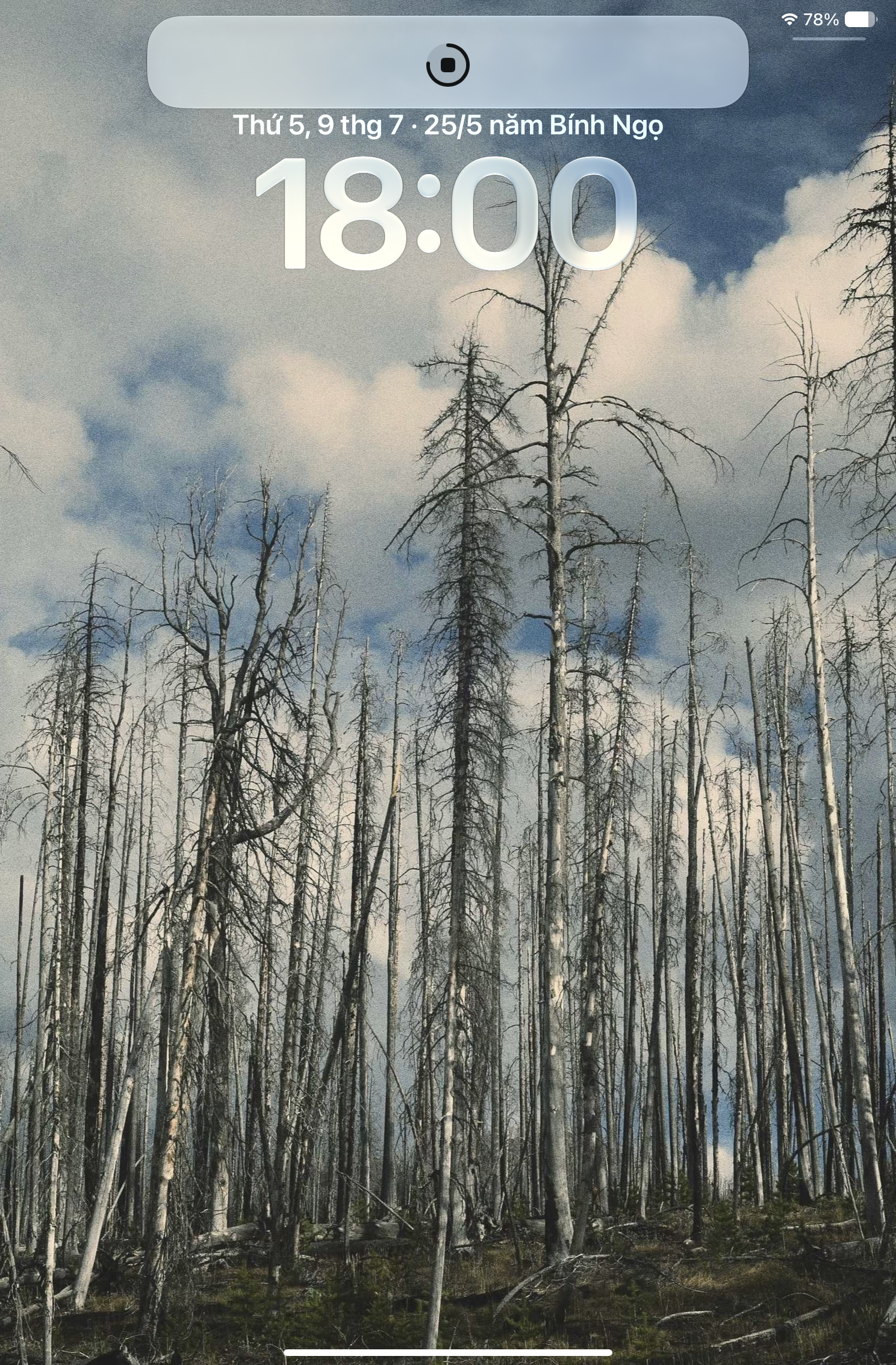 Wallpaper Random - Screenshot 2