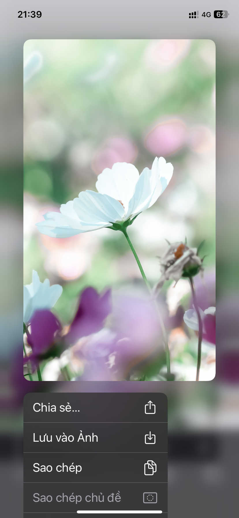 Quickly wallpaper - Screenshot 1