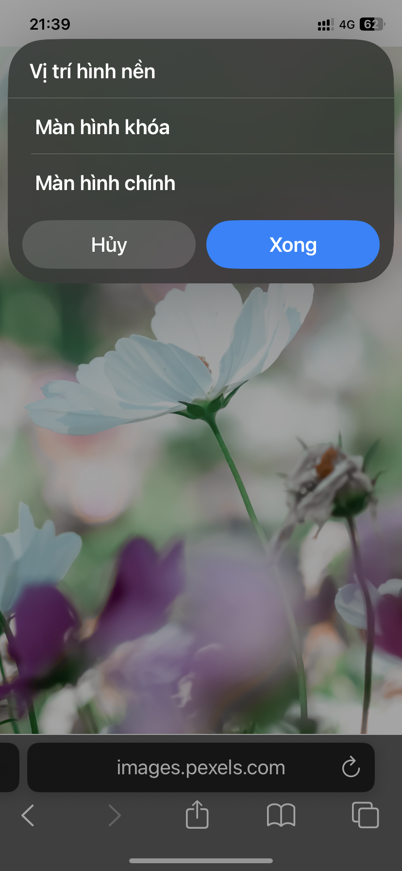 Quickly wallpaper - Screenshot 2