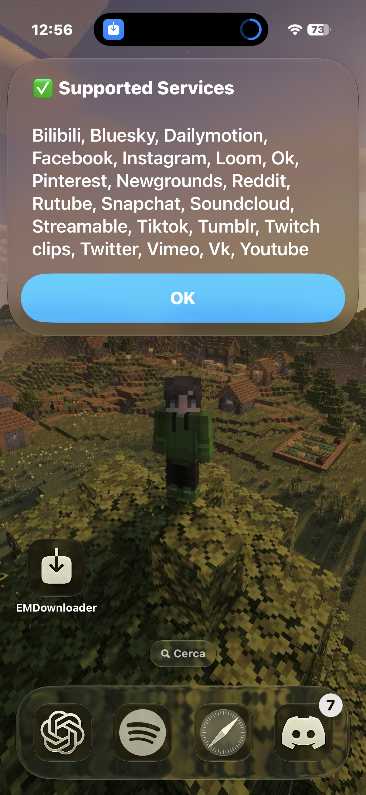 EMDownloader - Screenshot 2