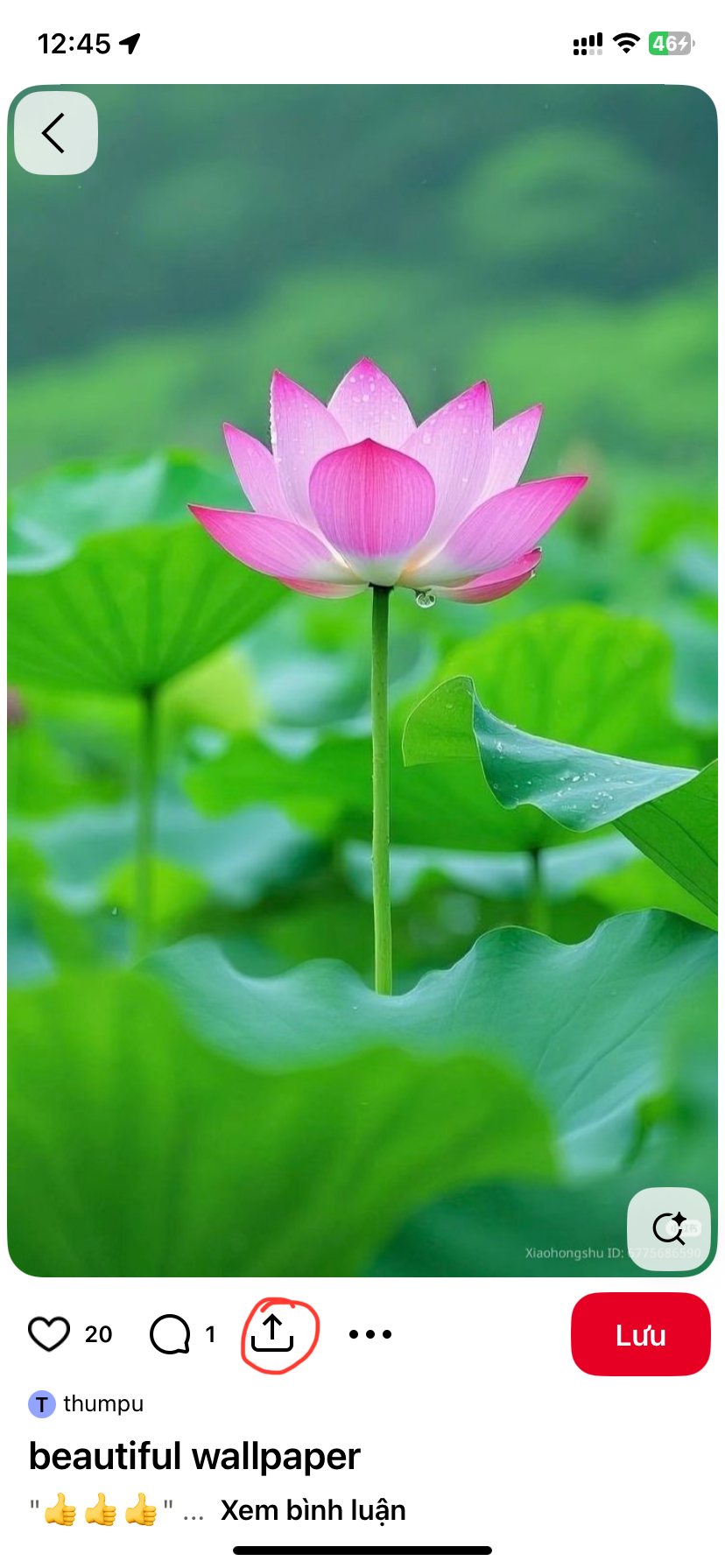 Pinterest To Wallpaper - Screenshot 5