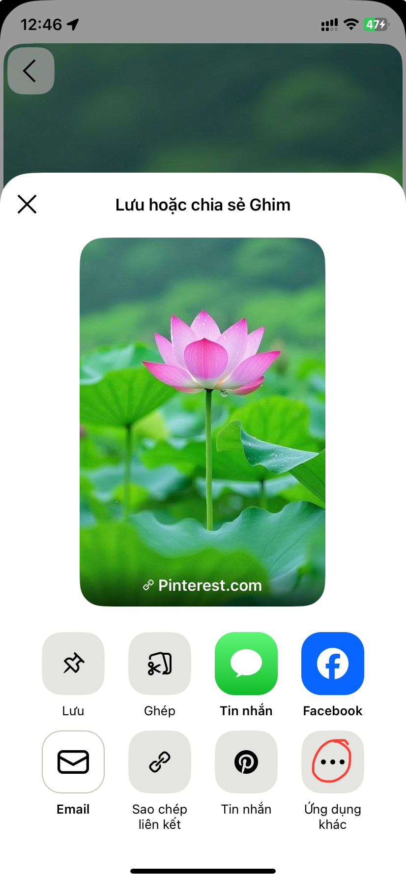 Pinterest To Wallpaper - Screenshot 4