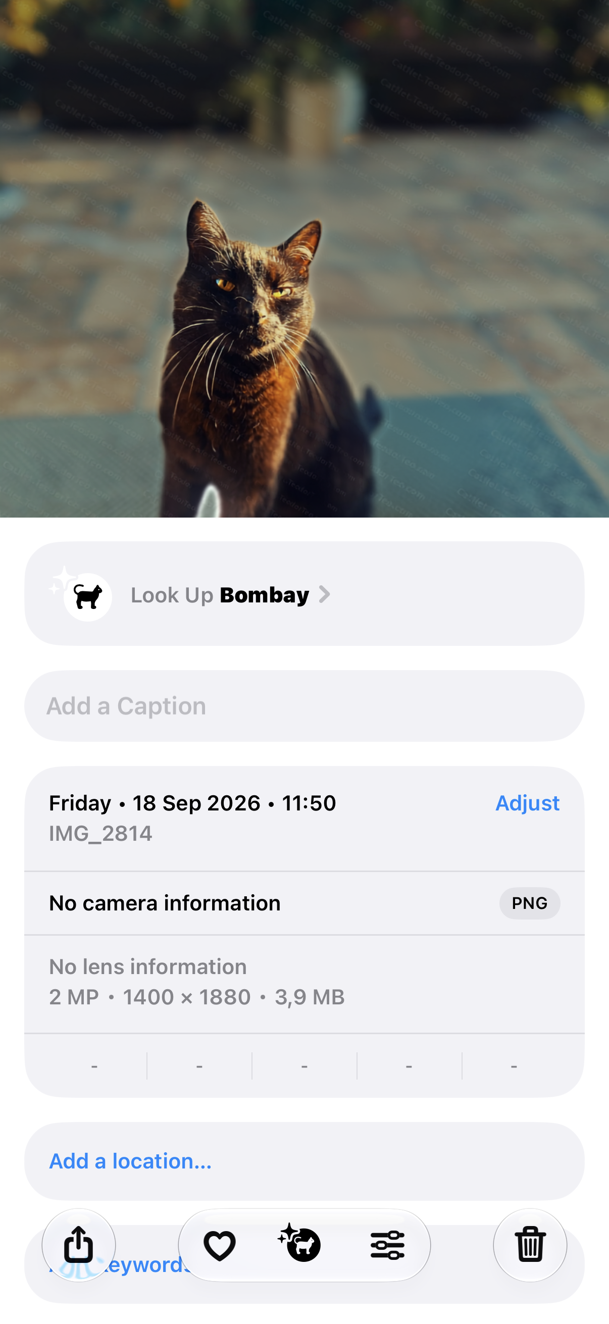 ClearShare - Screenshot 1